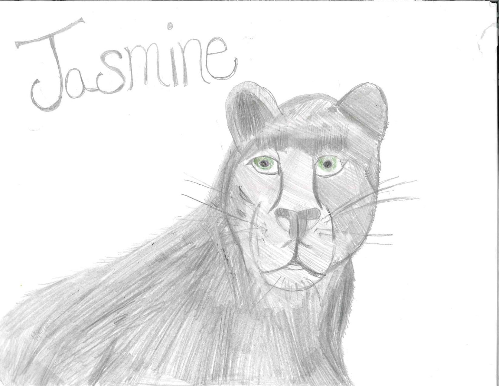 Jasmine