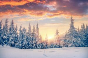 Coping with the winter