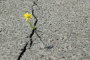 Pushing through No matter what!