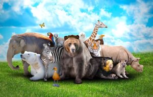What is your favorite animal and why???