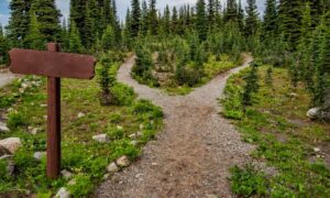 What pathway do you travel on?