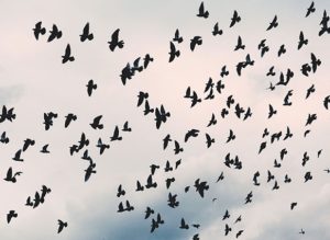 D.S.’s story of surviving abuse