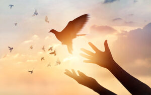 Forgiving My Younger Self