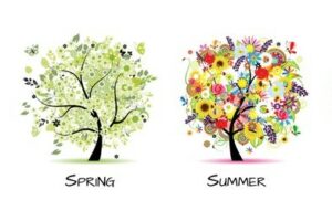 What is your favorite Spring/Summertime Activity?