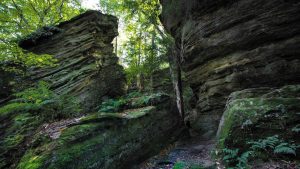 Luca’s Story of Fighting Against Addiction and Mental Illness