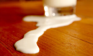 I Cried Over Spilled Milk
