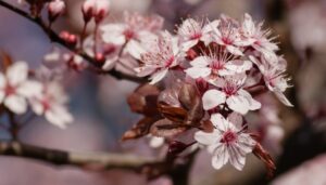 Spring is here!!