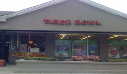 Tiger Bowl