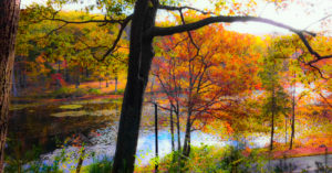 Serena’s Journey to Self Love