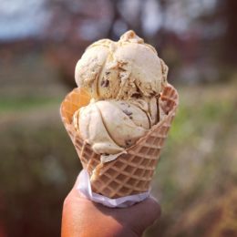 Rich Farm Ice Cream Shop, Bristol