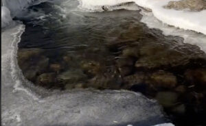 Calming Sound of Running Stream