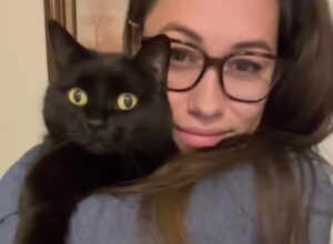 National Hug Your Cat Day