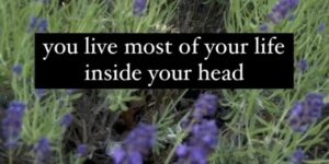 You Live Most of Your Life Inside Your Head…