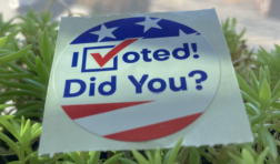 Voting sticker