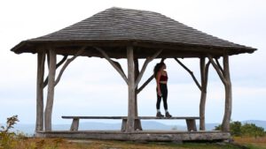 Current Mental Health Status: Less Than Ideal