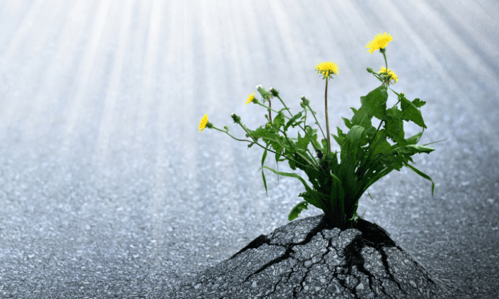 From Struggle to Strength: Holding Onto Progress in a New School Year